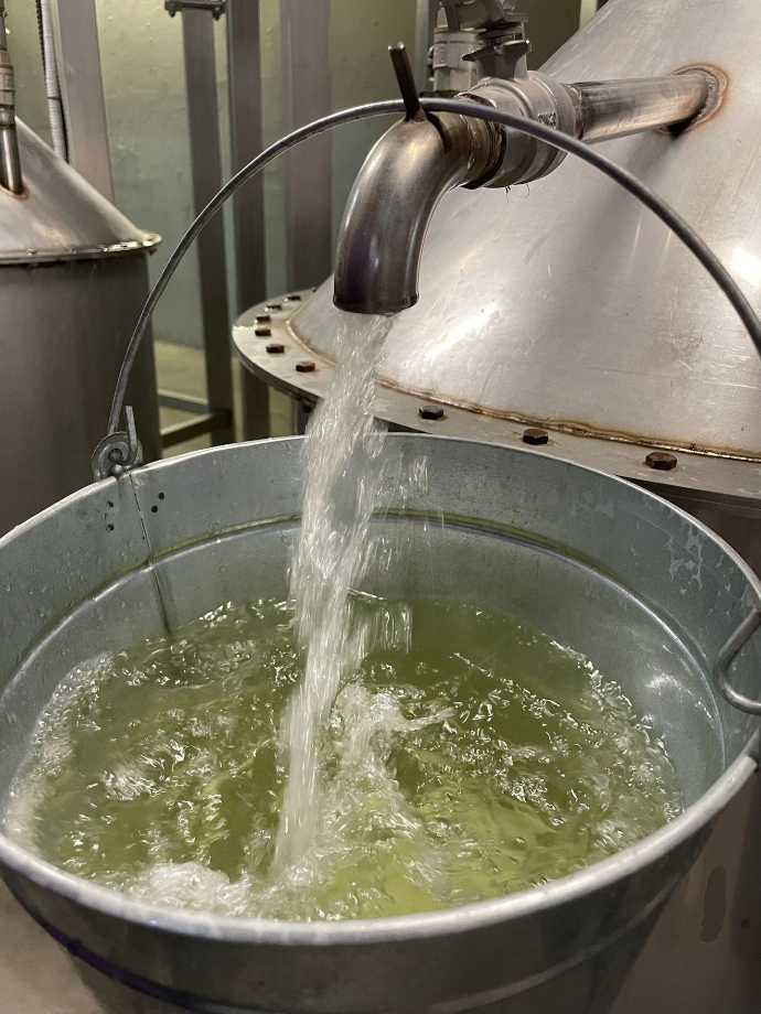 lavender oil distillation